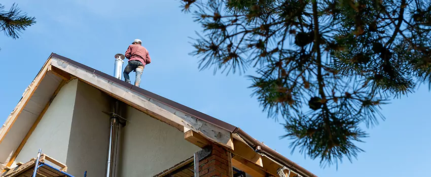 Birds Removal Contractors from Chimney in Kiryas Joel, NY