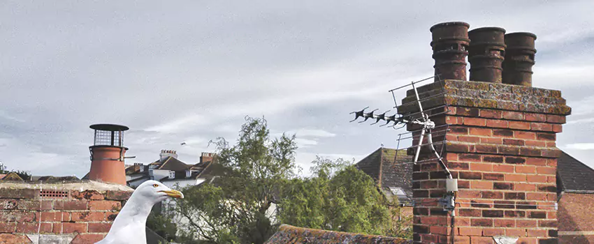 Chimney Cleaning And Restoration in Kiryas Joel, New York